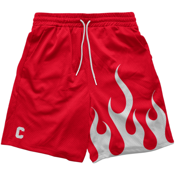 Flamed Mesh Shorts