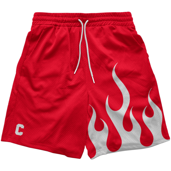 Flamed Mesh Shorts