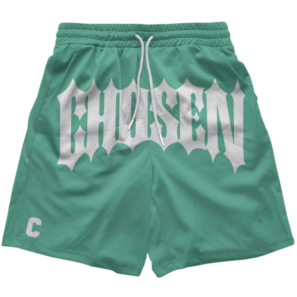 Chosen Mesh Shorts
